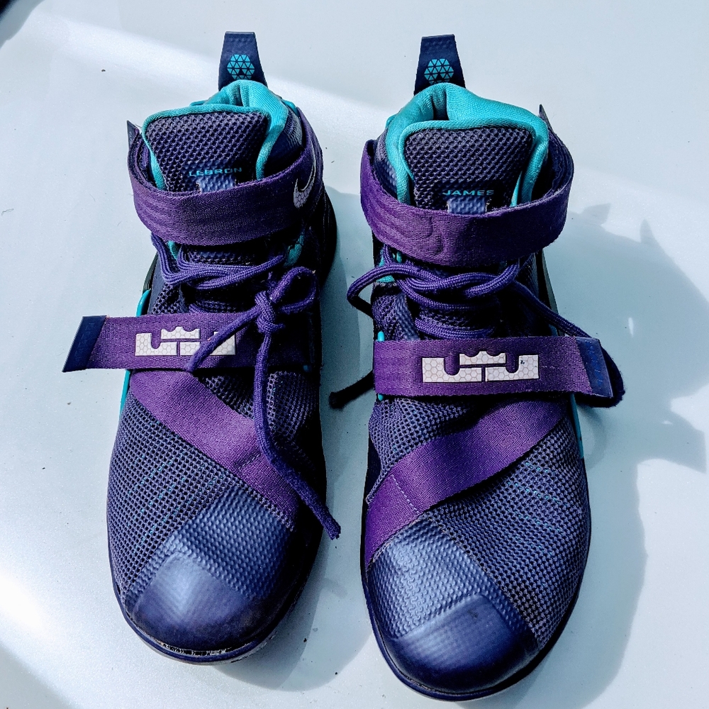 Lebrons - Picture 4 of 4